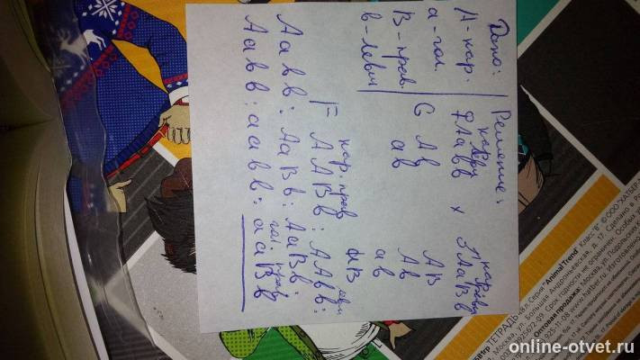 Изображение к ответу