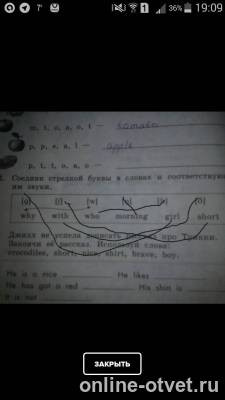 Изображение к ответу