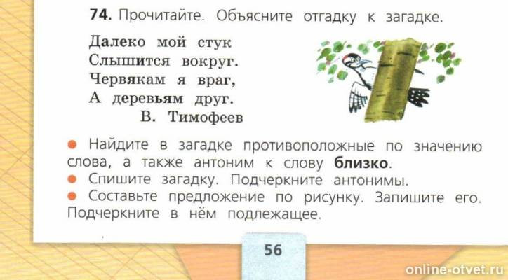 Изображение к ответу