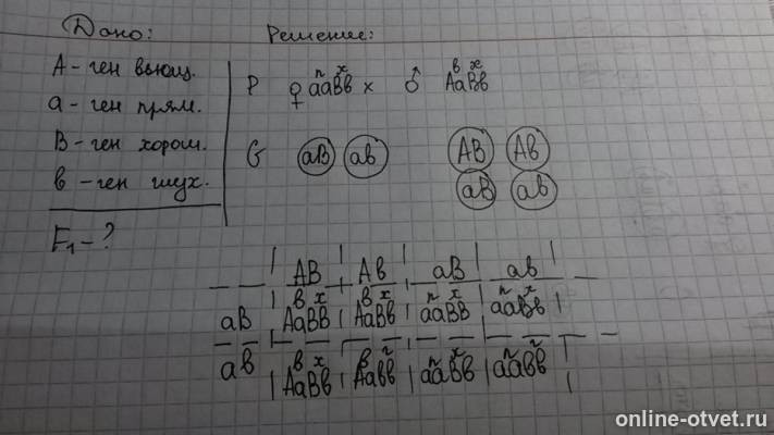 Изображение к ответу