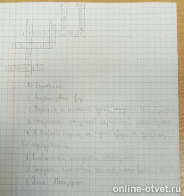 Изображение к ответу