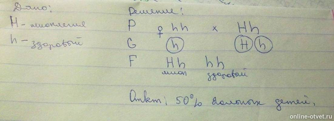 Изображение к ответу