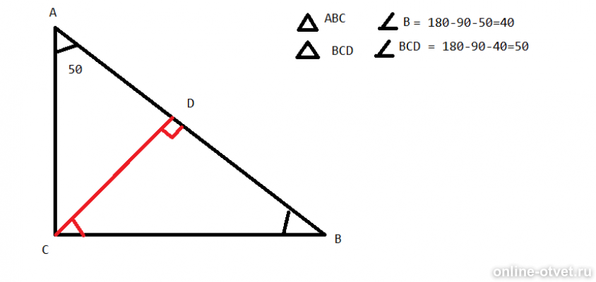 Пятьюдесятью градусами. Треугольник АБС СД высота. Треугольник с углом 50 градусов. Прямоугольный треугольник с углом 50 градусов. Прямоугольный треугольник АБС С высотой СД.