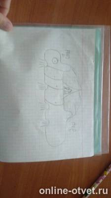 Изображение к ответу