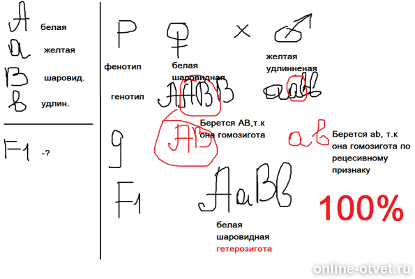 Изображение к ответу