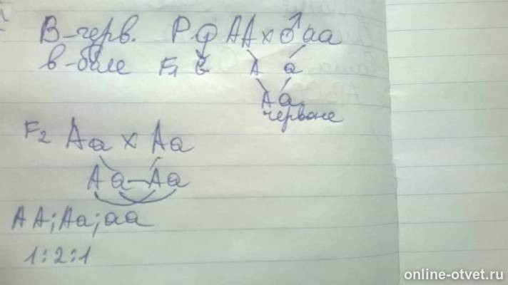 Изображение к ответу