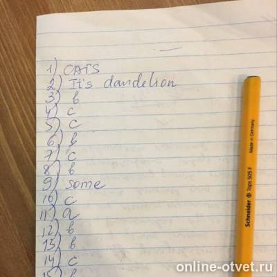 Изображение к ответу