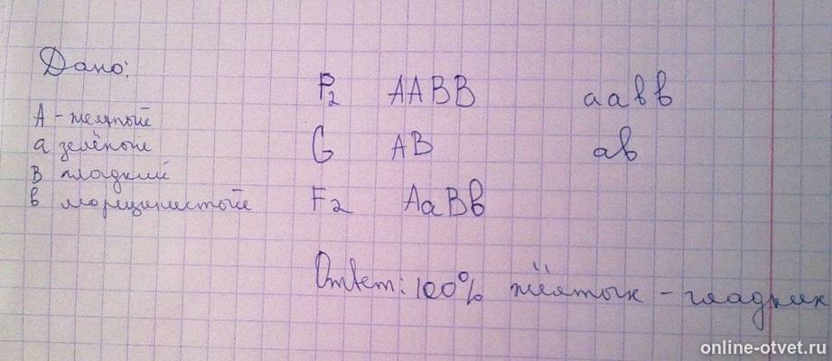 Изображение к ответу