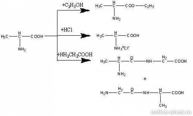 Аланин c2h5oh. Реакция взаимодействия глицина с этанолом. Аланин и этанол. Глицин и аланин реакция. Глицин и этанол реакция.