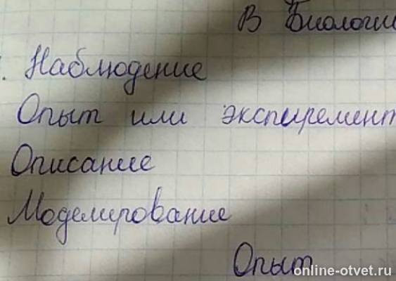 Изображение к ответу