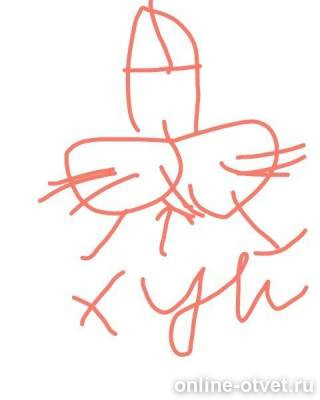 Изображение к ответу