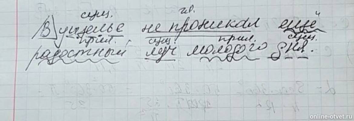 Изображение к ответу