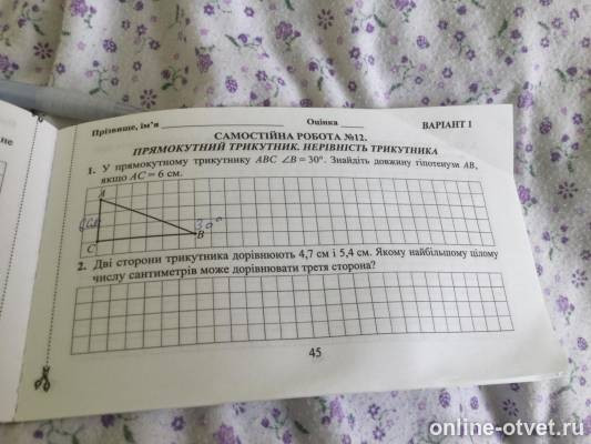 Изображение к вопросу