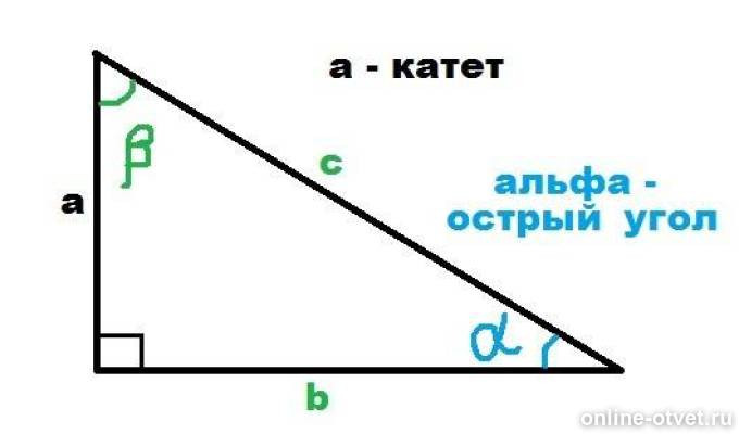 Изображение к ответу