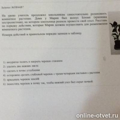 Изображение к вопросу