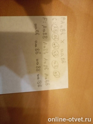 Изображение к ответу