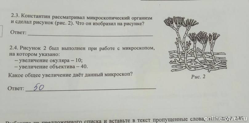 Изображение к вопросу