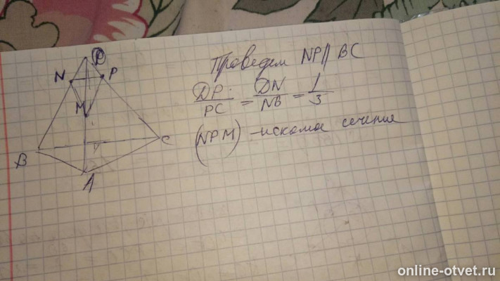 Изображение к ответу