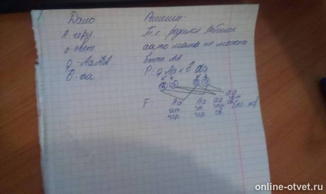Изображение к ответу