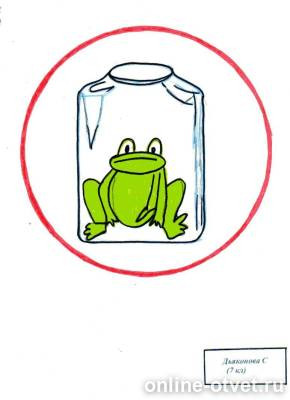 Изображение к ответу