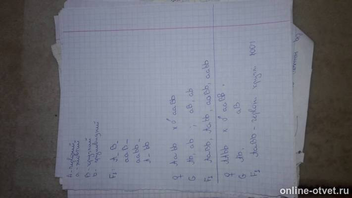 Изображение к ответу