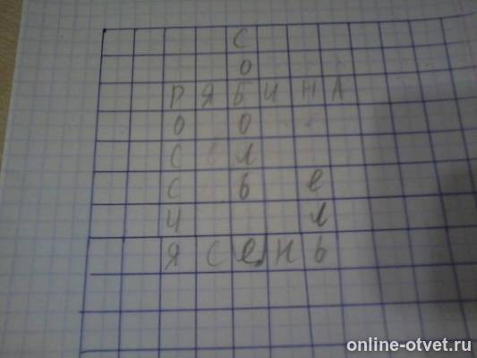 Изображение к ответу