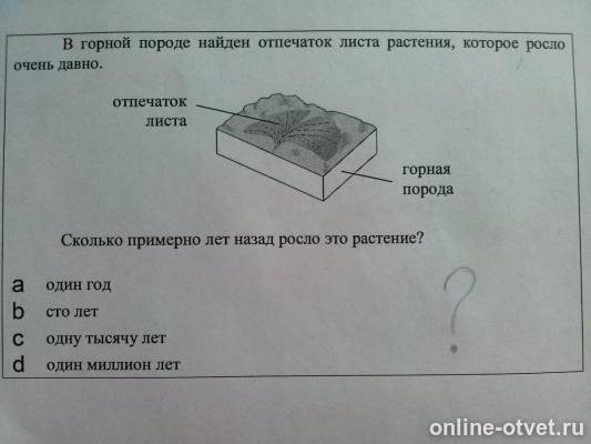 Изображение к вопросу