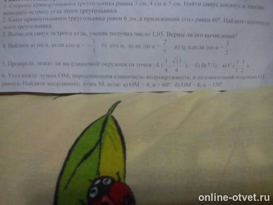 Изображение к вопросу