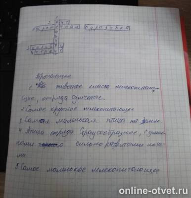 Изображение к ответу