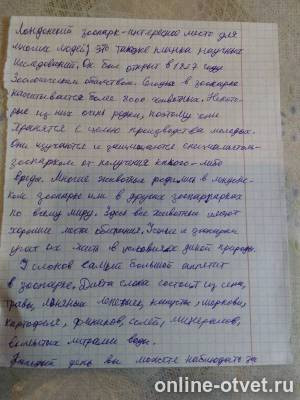 Изображение к ответу