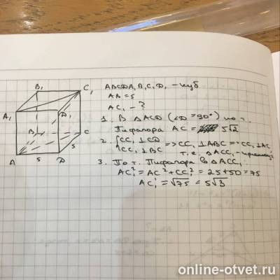 Изображение к ответу