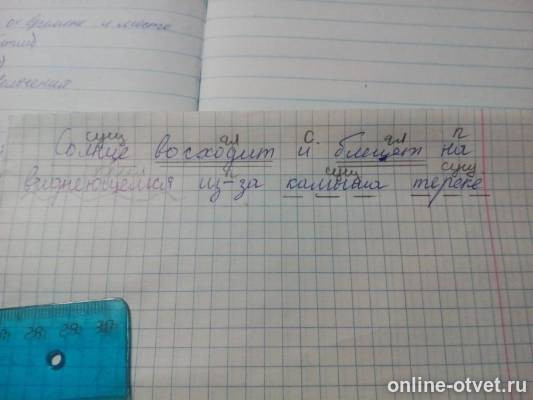 Изображение к ответу