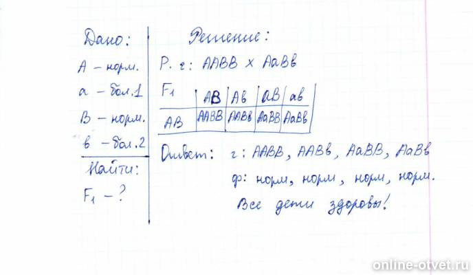 Изображение к ответу