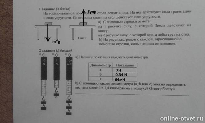 Изображение к ответу