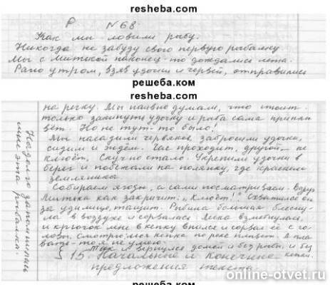 Изображение к ответу