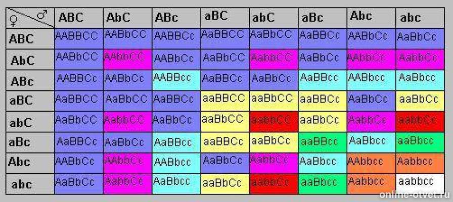 Генотип aabbcc. Таблица пеннета aabbcc. Aabbcc типы гамет. Гаметы aabbcc. Гаметы aabbcc.