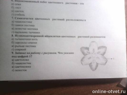 Изображение к вопросу