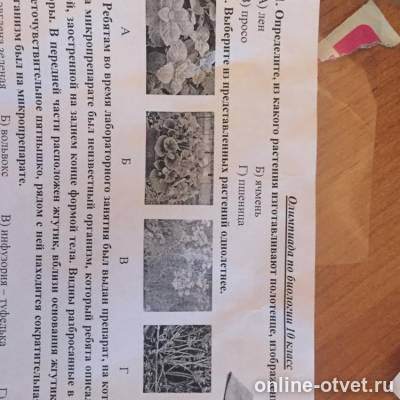 Изображение к вопросу