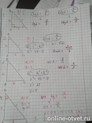 Изображение к ответу
