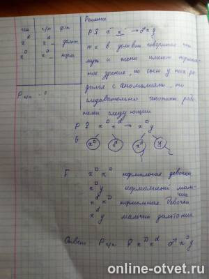 Изображение к ответу