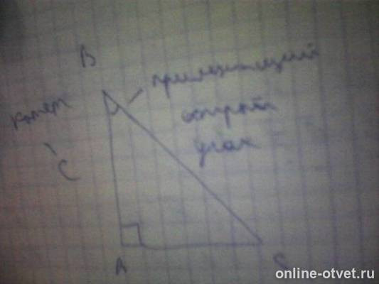 Изображение к ответу