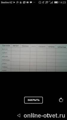 Изображение к ответу