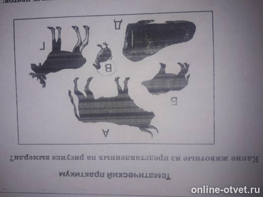 Изображение к вопросу