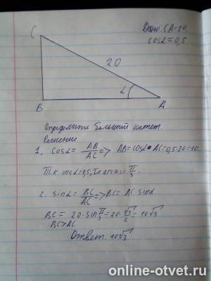Изображение к ответу